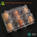 Clear transparent plastic egg container for sale